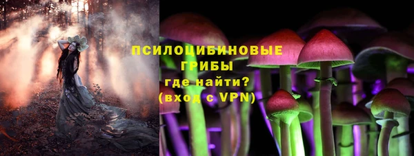 гашик Костерёво