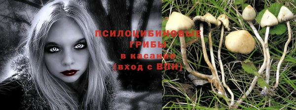 амф Абдулино