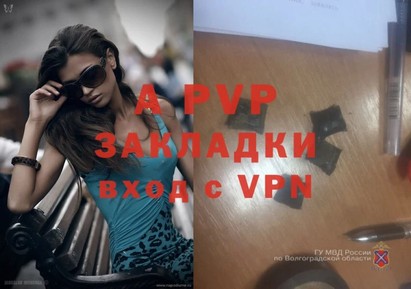 мяу мяу мука Абаза