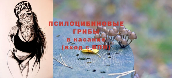 мяу мяу мука Абаза